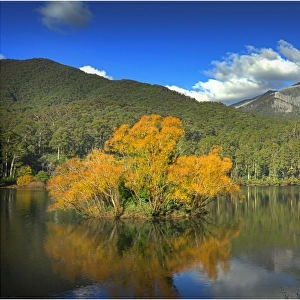 Lake Guy in autumn, Bogong, Central highlands of Victoria, Australia