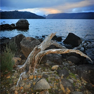 Lake St. Clair with views to the distant mountain range, Central Tasmania