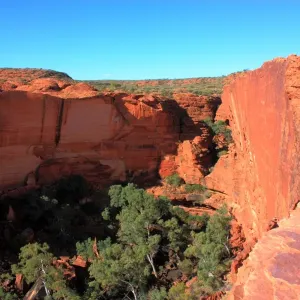 Landscape Landscape