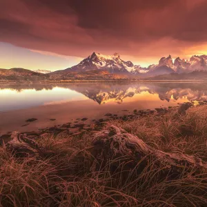 Landscape of Torres del paine