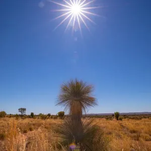 Larapinta and Namatjira Drive, MacDonnell Ranges National Park, Alice Springs