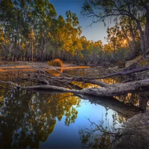 Late afternoon light just before dusk along the banks of a Billabong in the Murray Valley national park, near the Murray river, Corowa, New South Wales, Australia