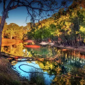 Late afternoon light just before dusk along the banks of a Billabong in the Murray Valley national park, near the Murray river, Corowa, New South Wales, Australia