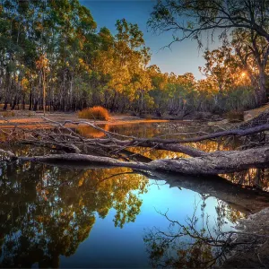 Late afternoon light just before dusk along the banks of a Billabong in the Murray Valley national park, near the Murray river, Corowa, New South Wales, Australia