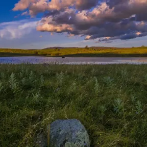 Late afternoon light in summer on Lake Jindabyne, Snowy mountains, New South Wales