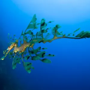 Images Dated 2011 February: 28 Feb 2011