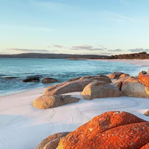 Lichen covered rocks on the beach. Bay of Fires. Binalong Bay. Tasmania. Australia