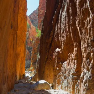 Light enters narrow Stanley Chasm, Australia Light enters narrow Stanley Chasm, Australia