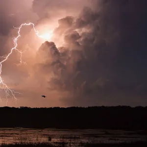 Framed and Canvas Prints plus a lot more: Lightning Strikes