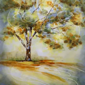 Liquid Amber Tree Print in Autumn Backlit by Morning Sunshine Liquid Amber Tree Print in Autumn Backlit by Morning Sunshine