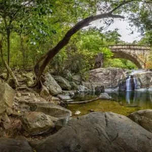 Little Crystal Creek Bridge Print Little Crystal Creek Bridge Print