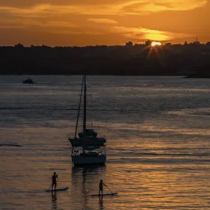 Little Manly Beach Paddle Board