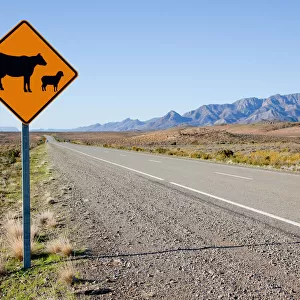 Livestock warning sign