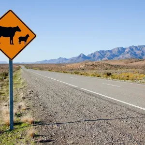 Livestock warning sign