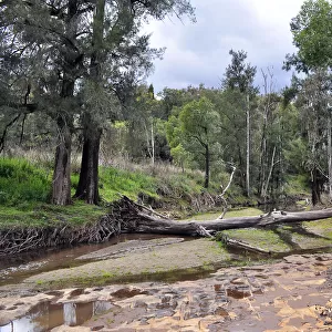 Log over creek