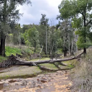 Log over creek