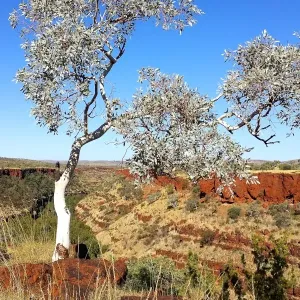 Looking across the gorges of Karijini National Park in Western Australia