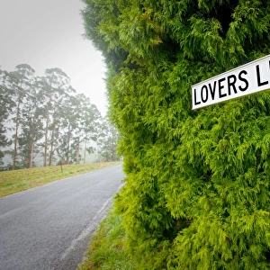 Lovers Lane sign