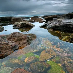 Low tide, Avalon Beach, Sydney