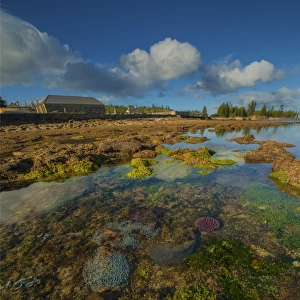 Low tide exposes the coral reef in Slaughter bay, at Kingston, Norfolk Island