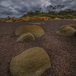 Images Dated 2015 March: 29 Mar 2015