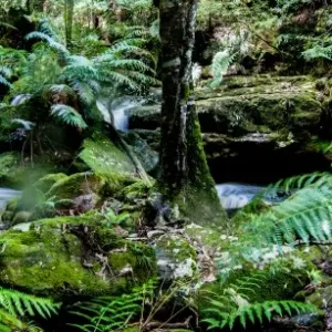 Lush environs Lush environs
