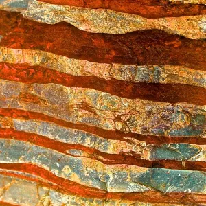 Karijini Rock Texture Print