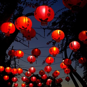 Magic lanterns for Buddha birthday