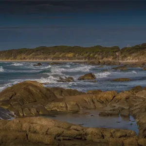 Disappointment Bay Print, King Island, Tasmania Disappointment Bay Print, King Island, Tasmania