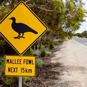 Images Dated 2011 January: 24 Jan 2011