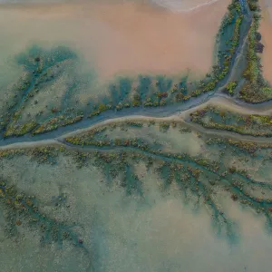 Mangrove Aerial