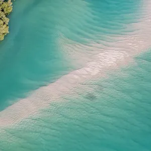 Mangrove Sand bar Mangrove Sand bar