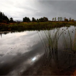 The Maquarie river at Ross, central Tasmania