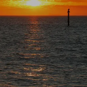 mer, mer, océan, vie, coucher de soleil, soleil, impressions, photographie, classique , ondelettes , reflet mer, mer, océan, vie, coucher de soleil, soleil, impressions, photographie, classique , ondelettes , reflet