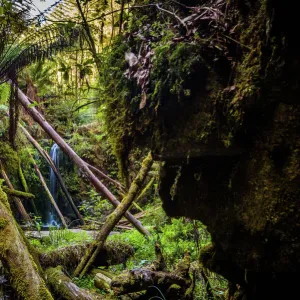 Marriners Falls at Great Otway National Park, Victoria