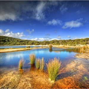 Martha Lavinia Lagoon, King Island, Bass Strait, Tasmania, Australia