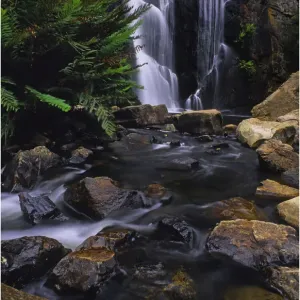 Mckenzie Falls Print - Grampians Victoria Australia Mckenzie Falls Print - Grampians Victoria Australia