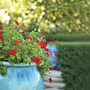 Jardin à la mode méditerranéenne.