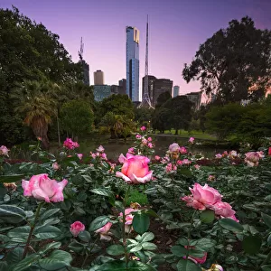 Melbourne City Flowers
