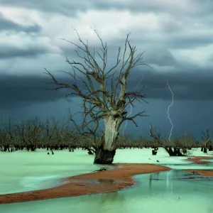 New South Wales (NSW) Jigsaw Puzzle Collection: Menindee Lakes