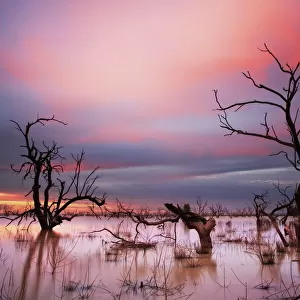 Menindee Lakes, Outback NSW, Australia