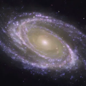 Messier 81 Spiral Galaxy Print Messier 81 Spiral Galaxy Print