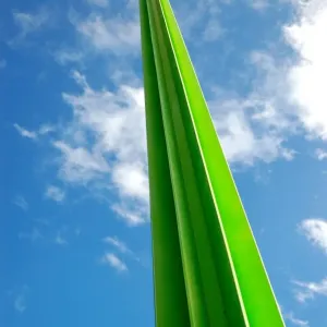 Metal pointing skyward Metal pointing skyward