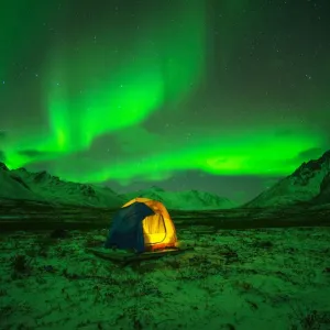 Midnight Green Aurora Borealis Print