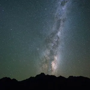 Milky Way behind tree, South Island, New Zealand