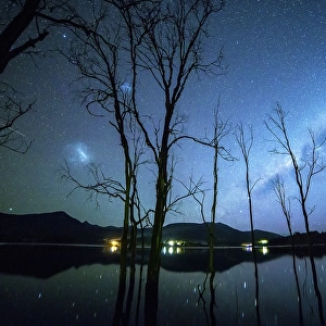 Milky Way and Venus above lake and trees at night