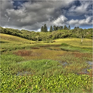 The mission valley and view across the wetlands, Norfolk Island