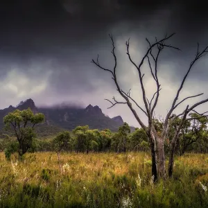 Mist after heavy rain in the spring, Grampians National Park, Western District, Victoria, Australia Mist after heavy rain in the spring, Grampians National Park, Western District, Victoria, Australia