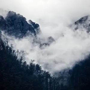 Mist over Mount Roland. Tasmania Mist over Mount Roland. Tasmania