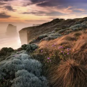 Misty Beach Misty Beach